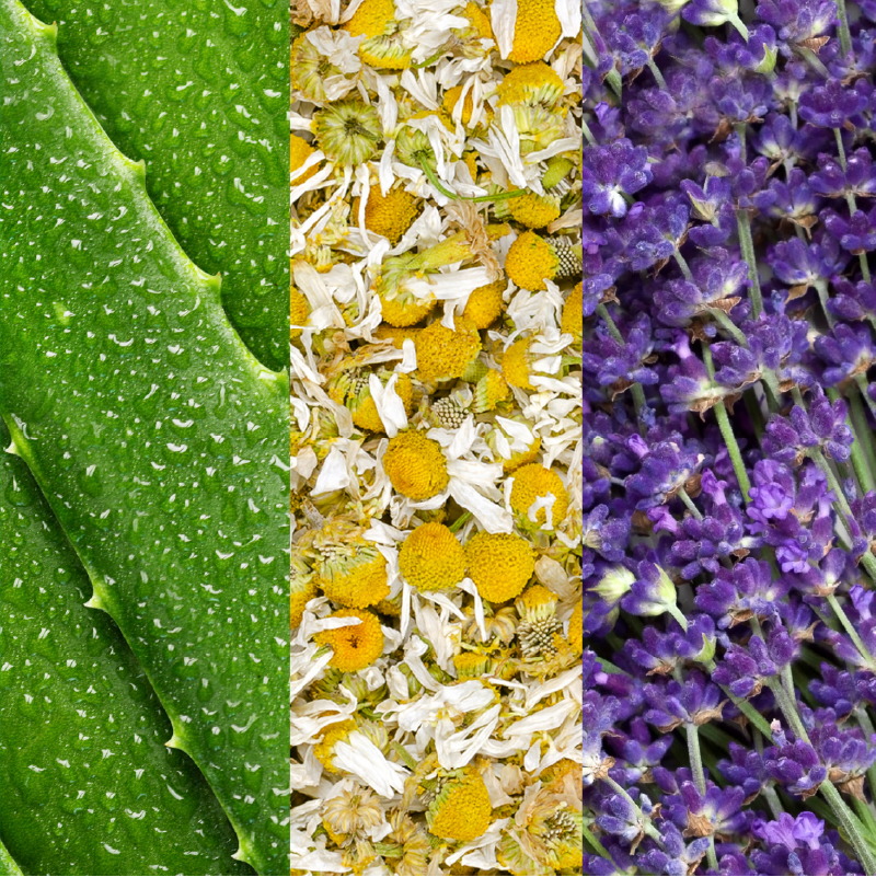 FACIAL SPRAY W/ ALOE, CHAMOMILE & LAVENDER