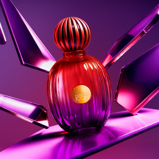 The Icon Elixir Woman